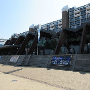 Aquarium Entrance