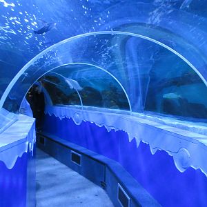 Walk-Through Tunnel (very short!)