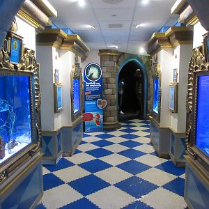 Seahorse Hallway (4 exhibits)