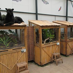 Terrariums (poison dart frogs, etc.)