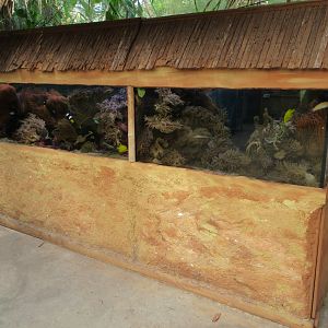 Tropical Fish Tank