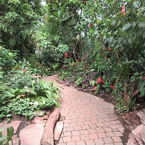 Butterfly Walk-Through Area