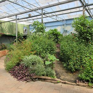 Butterfly Walk-Through Area