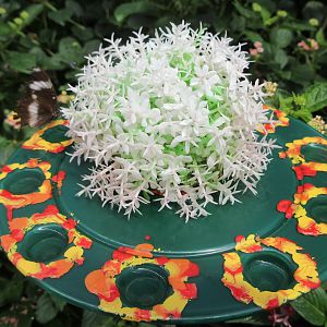 Butterfly Walk-Through Area