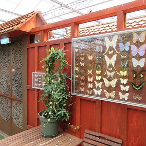 Butterfly Walk-Through Area