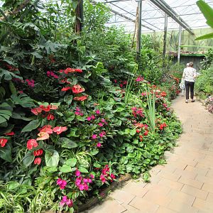 Butterfly Walk-Through Area