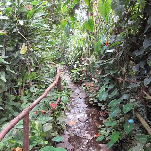 Butterfly Walk-Through Area - Watery Path