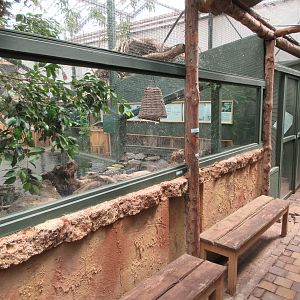 African Dwarf Crocodile Exhibit