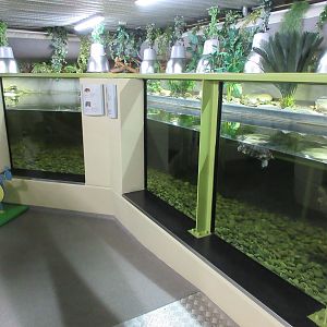 Turtle Tank