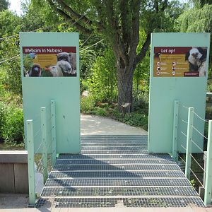 Monkey Walk-through Area