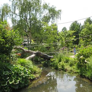 Monkey Walk-through Area