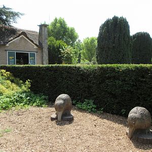 North Island Kiwi House + Kiwi Statues