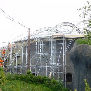 Repairs to Monsoon Forest June 2019