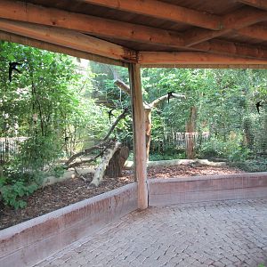Eurasian Eagle Owl Exhibit