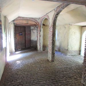 Eurasian Eagle Owl Exhibit - Visitor Area