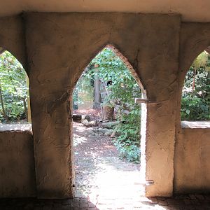 Eurasian Eagle Owl Exhibit