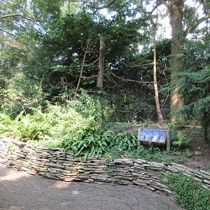 Walk-Through Owl Exhibit (4 species)