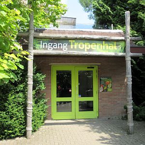 Tropical House - Entrance