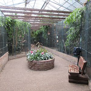 Tropical House - Various Aviaries