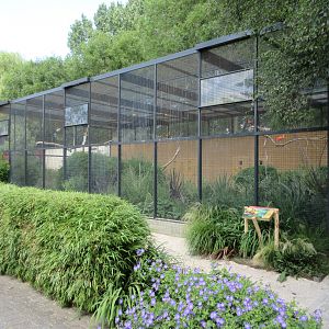 Aviary (various species that are not labeled)