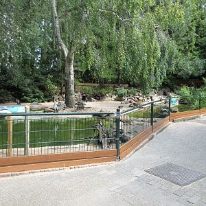 Humboldt Penguin Exhibit