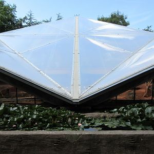 Lori Landing Building