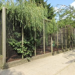 Various Aviaries