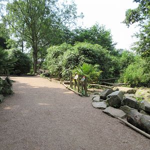 Walk-Through Lemur Exhibit