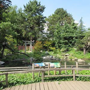 Red Panda/Red-Crowned Crane Exhibit