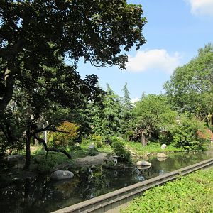 Red Panda/Red-Crowned Crane Exhibit