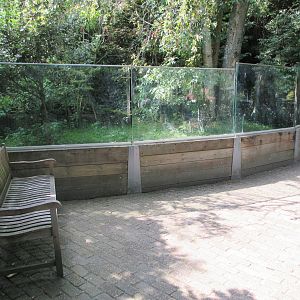 Cassowary Exhibit