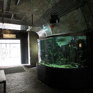 Crashing Waves Tank - Before Splash