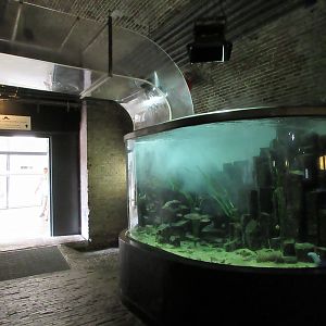 Crashing Waves Tank - After Splash