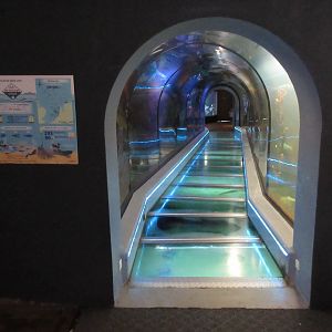 North Sea Tunnel Tank