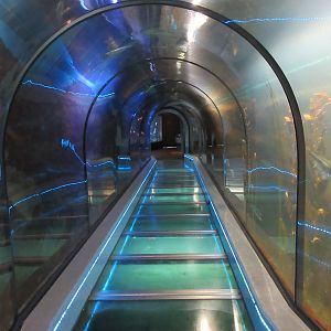 North Sea Tunnel Tank