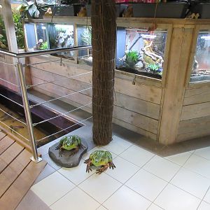 Piranha tank on floor (open-topped)