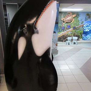 Orca Statue