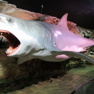 Great White Shark Statue