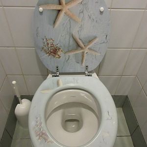 Starfish Toilet Seat