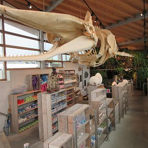 Entrance/Exit/Gift Shop