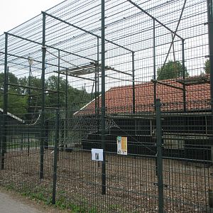Vervet Monkey Exhibit