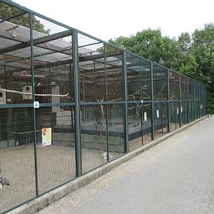Various Aviaries