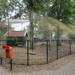 Reindeer Aviary