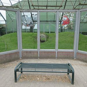 Golden-cheeked Gibbon Exhibit