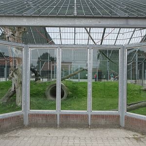 Rhesus Macaque Exhibit