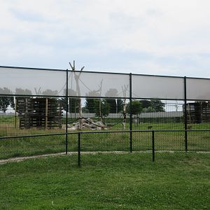 Hamadryas Baboon Exhibit (New in 2019)