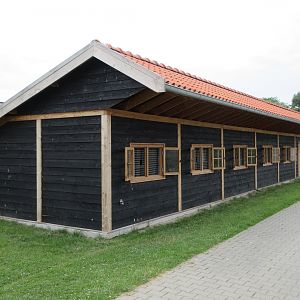 Hamadryas Baboon - Indoor Quarters (New in 2019)