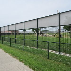 Hamadryas Baboon Exhibit (New in 2019)