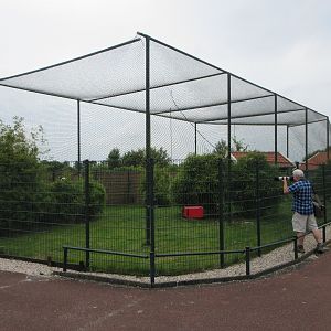 Saddle-billed Stork Exhibit + Zoo Nerd