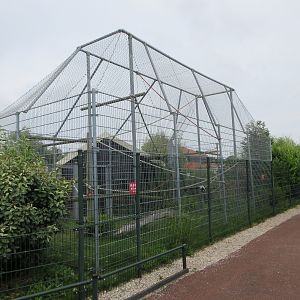 Black and White Ruffed Lemur Exhibit